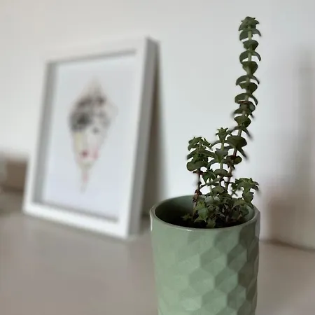 No Ceu - A Fully Private Flat In The Sky With Ocean View アトウギア・ダ・バレイア