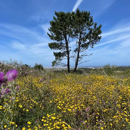 アパート No Ceu - A Fully Private Flat In The Sky With Ocean View *