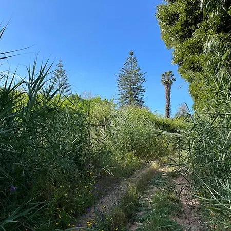 アパート No Ceu - A Fully Private Flat In The Sky With Ocean View アトウギア・ダ・バレイア