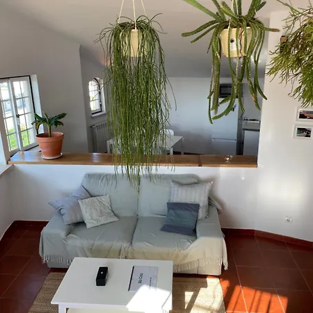 No Ceu - A Fully Private Flat In The Sky With Ocean View アトウギア・ダ・バレイア