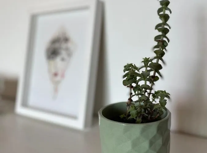 No Ceu - A Fully Private Flat In The Sky With Ocean View Атогиа-да-Балейя