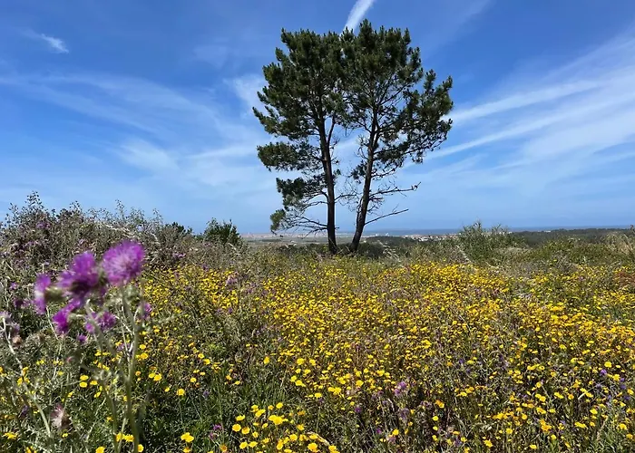 Апартаменты No Ceu - A Fully Private Flat In The Sky With Ocean View *