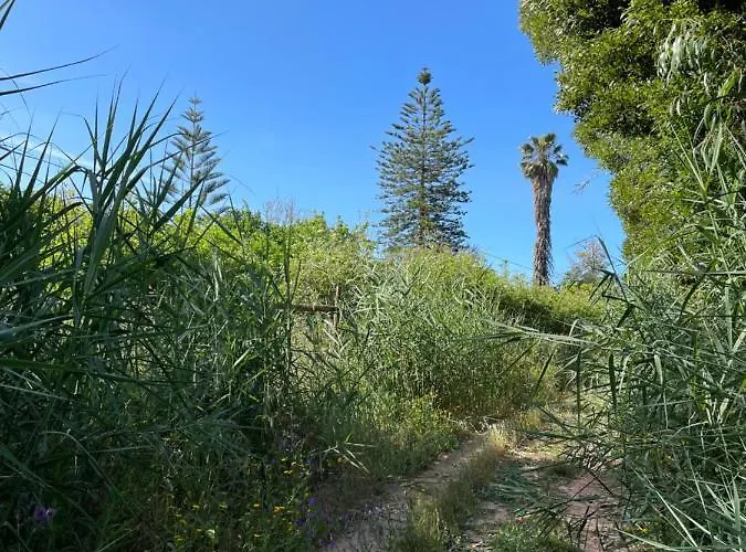 Апартаменты No Ceu - A Fully Private Flat In The Sky With Ocean View Атогиа-да-Балейя