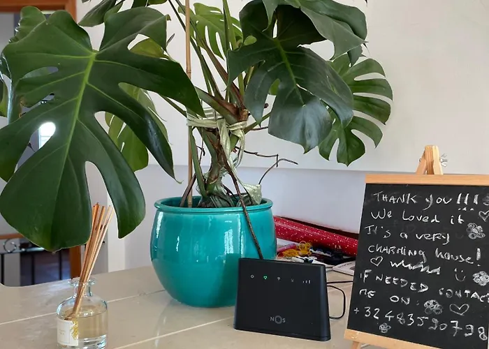 Апартаменты No Ceu - A Fully Private Flat In The Sky With Ocean View *